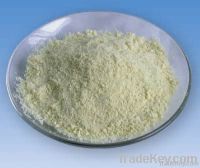 Xanthan Gum