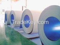 Kinds of Galvanized Steel Sheet & Prepainted Steel Sheet & Galvalume S