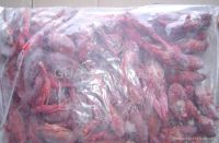 FROZEN COOKED WHOLE CRAYFISH