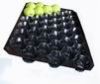 Environmentally Friendly Packaging Fruit&amp;amp;Produce Fruit Tray Liner