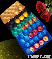 FDA Approved 39x59cm Plastic Fruit Nest Tray