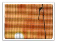 window screen netting