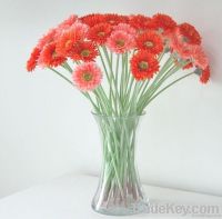 Single branch chrysanthemum