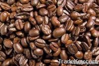 Roasted Cocoa Beans