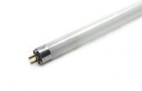 Fluorescent Lamp