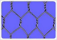 Hexagonal wire mesh