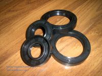 oil seal