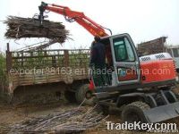 Sugarcane loader