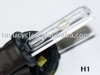 HID BULB
