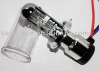 HID XENON BULB