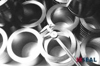 Die-formed Graphite Packing Ring