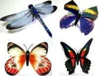 Stationery Magnet/butterfly fridge magnet/magnetic stationery