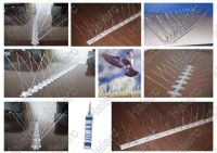 Metal base stainless steel bird spikes