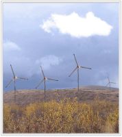 Wind Generator (1000W)