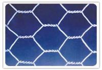 Hexagonal wire netting