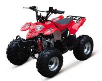 50cc ATV, 110cc Kid Atv