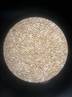 Competitive Price Artemia Cysts For Shrimp