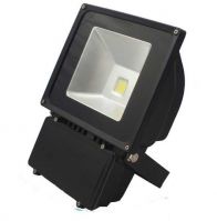 LED Flood Light (50W)