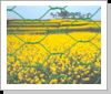Hexagonal Wire Netting