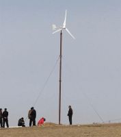 Small wind power set, 2000W