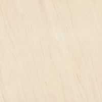 building ceramic porcelain tile