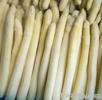 Frozen white / green asparagus/ IQF vegetable