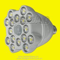 LED Motion Sensor Light