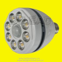 LED Motion Detector Lamp