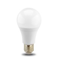 LED bulb A60N3 12-24VDC 9W