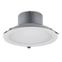 LED Downlight D AT02L 208/25W