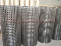 Welded wire mesh
