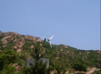 wind power generator and solar panel