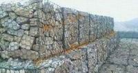 gabion mesh