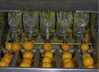 Industrial Orange Juicer/apple juicer/citrus press/fruit press