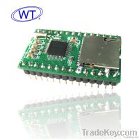 Embedded Audio Module