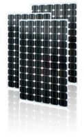 Mono-crystalline Solar Modules