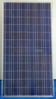 Poly-crystalline Solar Modules