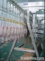 poultry equipment