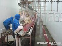chicken slaughter machine