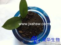 Humic Acid