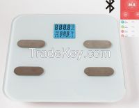 Bluetooth Scale