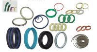 Hydraulic Seals