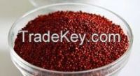 Finger Millet