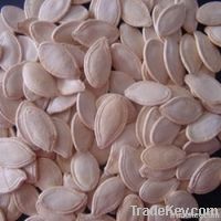 Shine Skin Pumpkin seeds