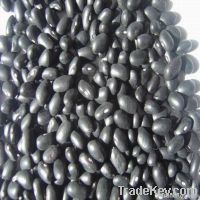 2011 Crop black kidney bean