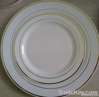 Disposable Dinner Plates