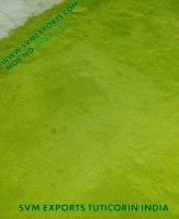 Moringa Leaf Powder Suppliers