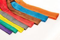 CE Polyester endless Round lifting Sling 1T  EN1492-2 standard