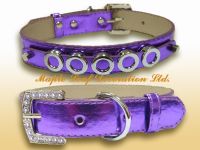 pet collar