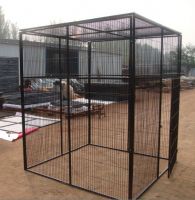 Metal Aviary